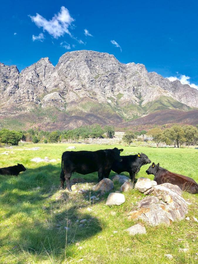 The Barn In Franschoek Guest House Franschhoek Exterior photo